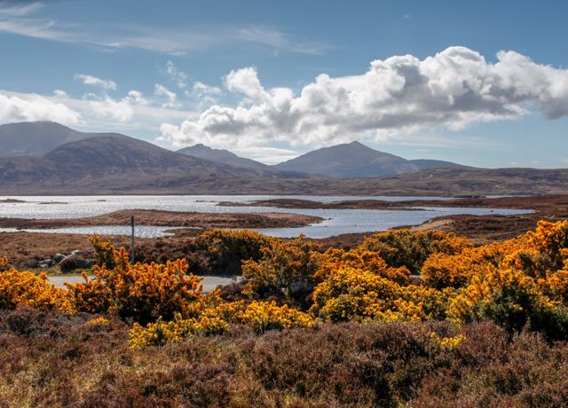 A view across the bushes, landscape of Loch Druidibeg national nature reserve, South Uist