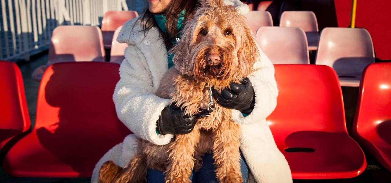 A passenger on the ferry sitting outside with their dog on their lap