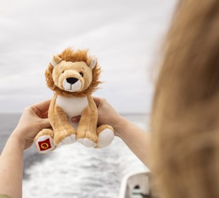 a girl holding a toy lion out to sea