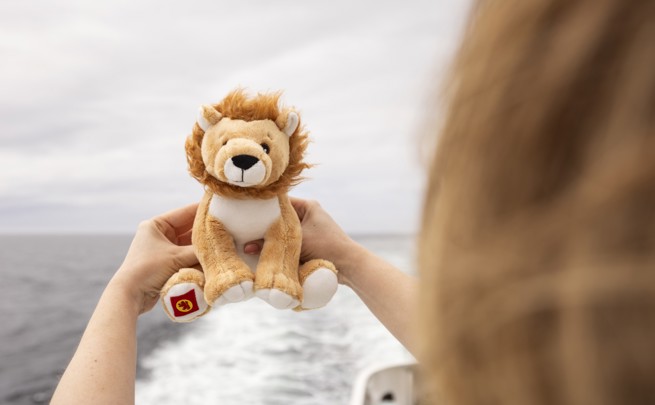 a girl holding a toy lion out to sea