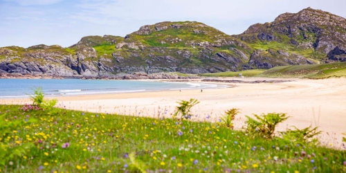 A view across the machair to a golden sandy beach and hills in the background