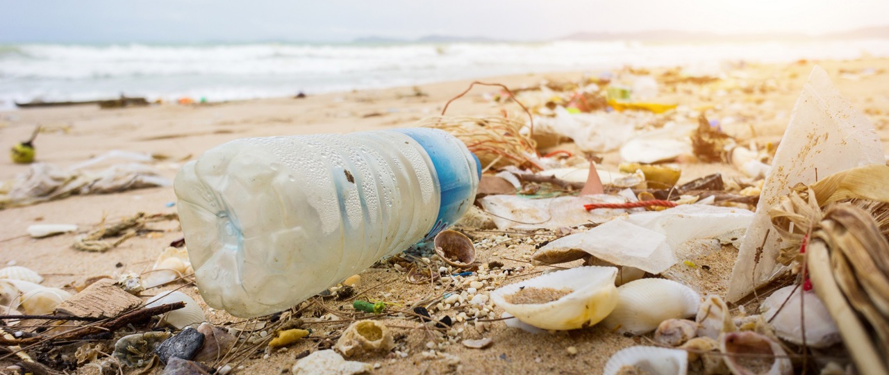 Litter on beach