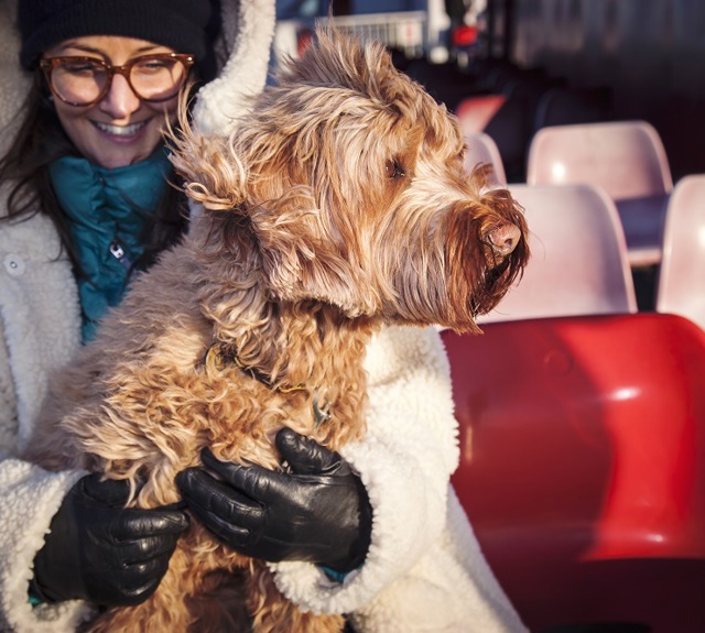 woman and her dog blowing in the wind on deck