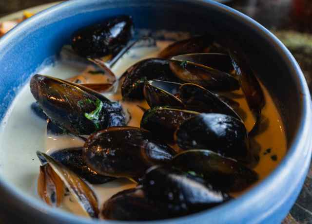 A close-up of a tasty bowl of mussels served in a cafe, Mull.